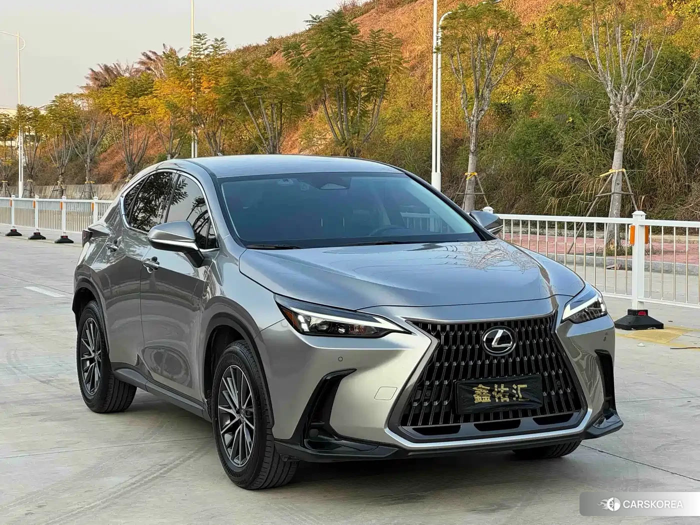 Lexus NX id 4546206 из Китая 9