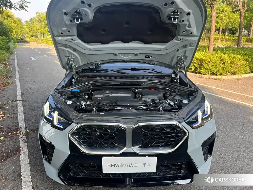 BMW X2 id 4679809 из Китая 12