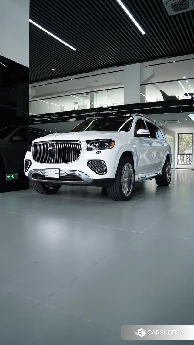 Mercedes-Benz Maybach GLS id 4263565 из Китая 9
