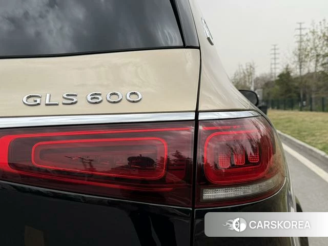 Mercedes-Benz Maybach GLS id 4260101 из Китая 23