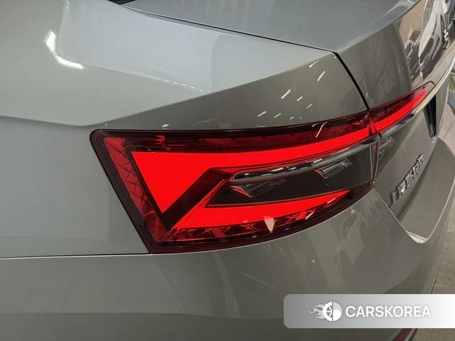 Skoda Speed pie id 4239098 из Китая 26