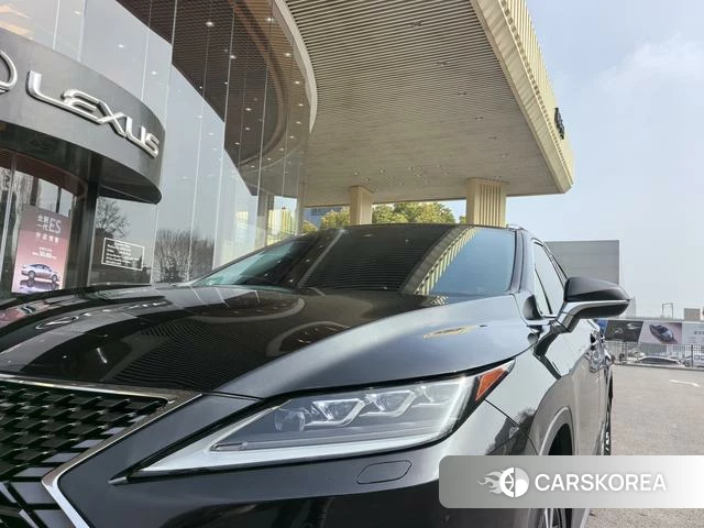 Lexus RX id 4262251 из Китая 16