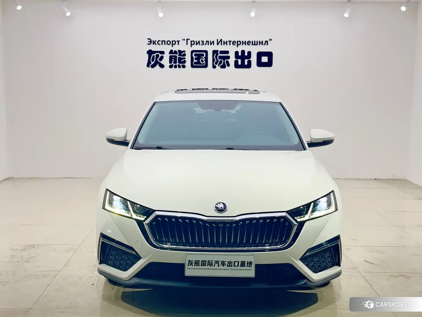 Skoda Octavia id 4600464 из Китая 17