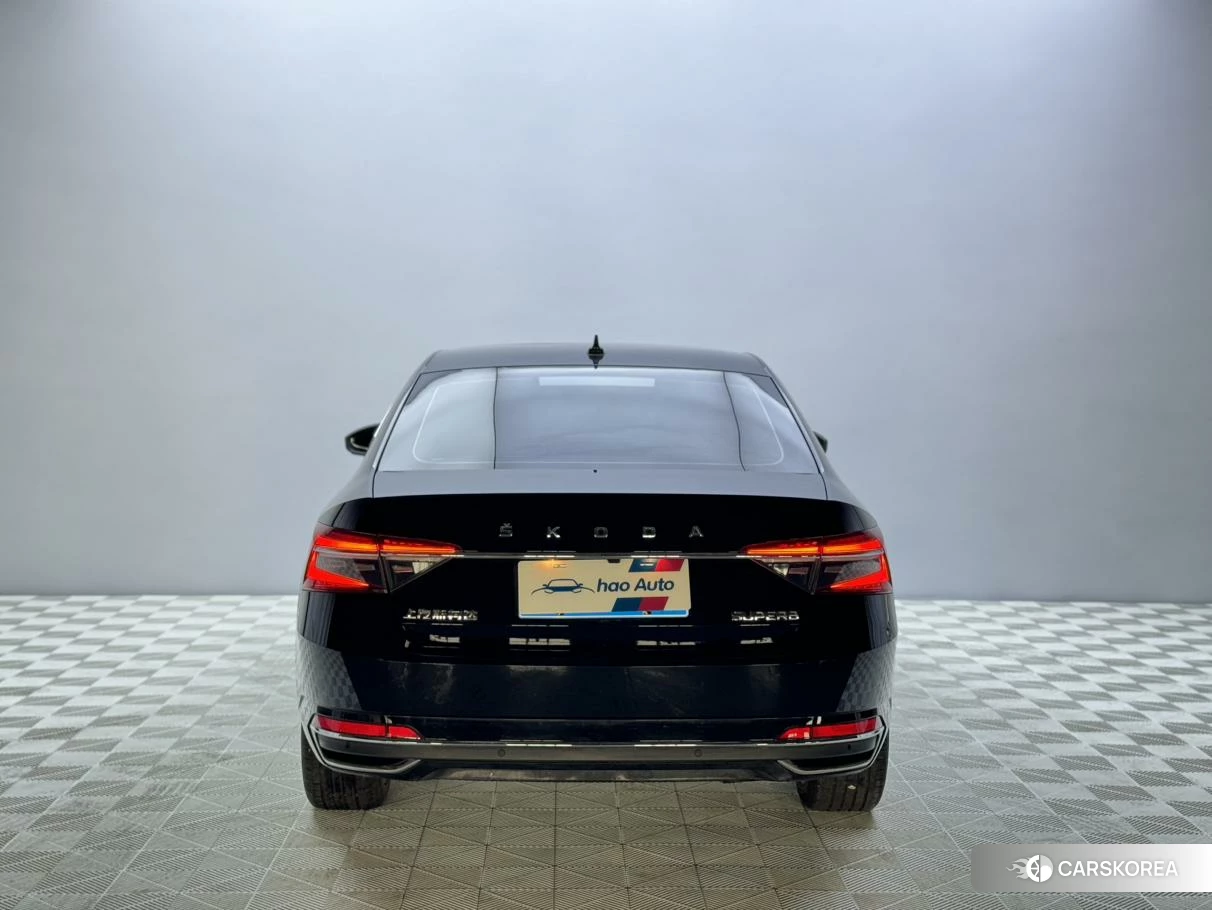 Skoda Speed pie id 4486470 из Китая 11