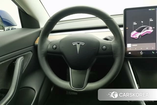 Tesla Model 3 (imported) id 4210191 из Китая 23