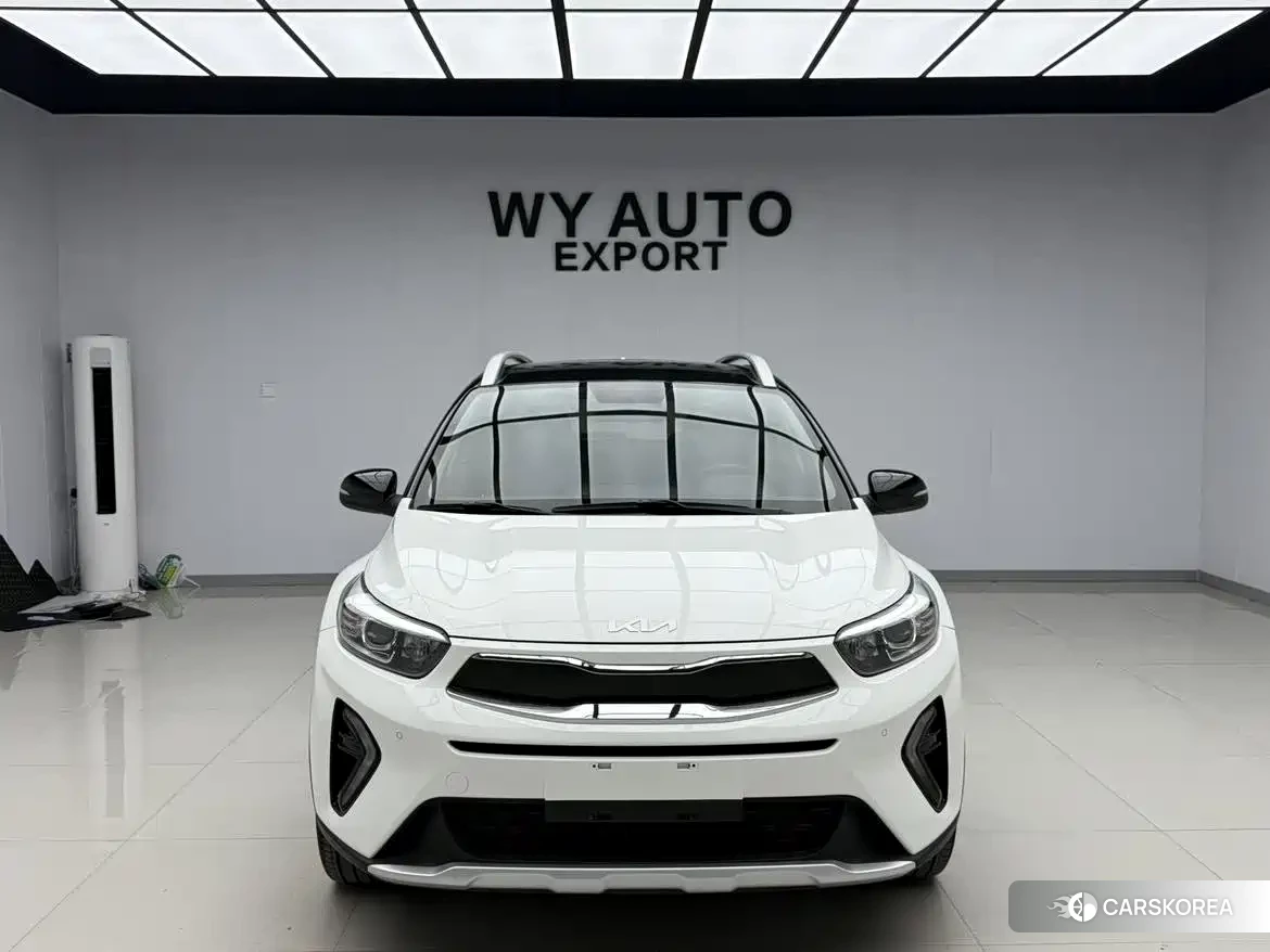 Kia Yi Ran id 4576296 из Китая 19