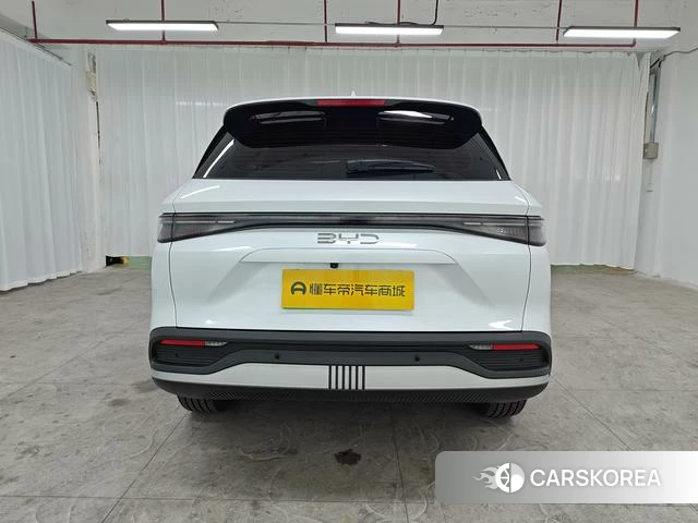 BYD Sea Lion 05DM id 3969098 из Китая 19