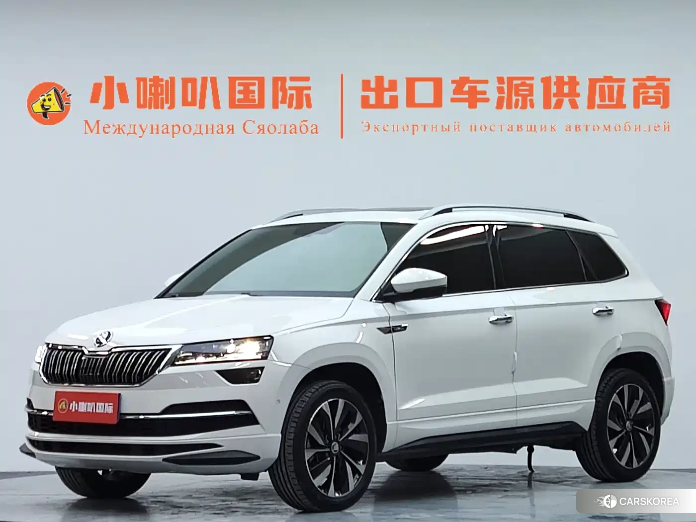 Skoda Krok id 4565303 из Китая 18