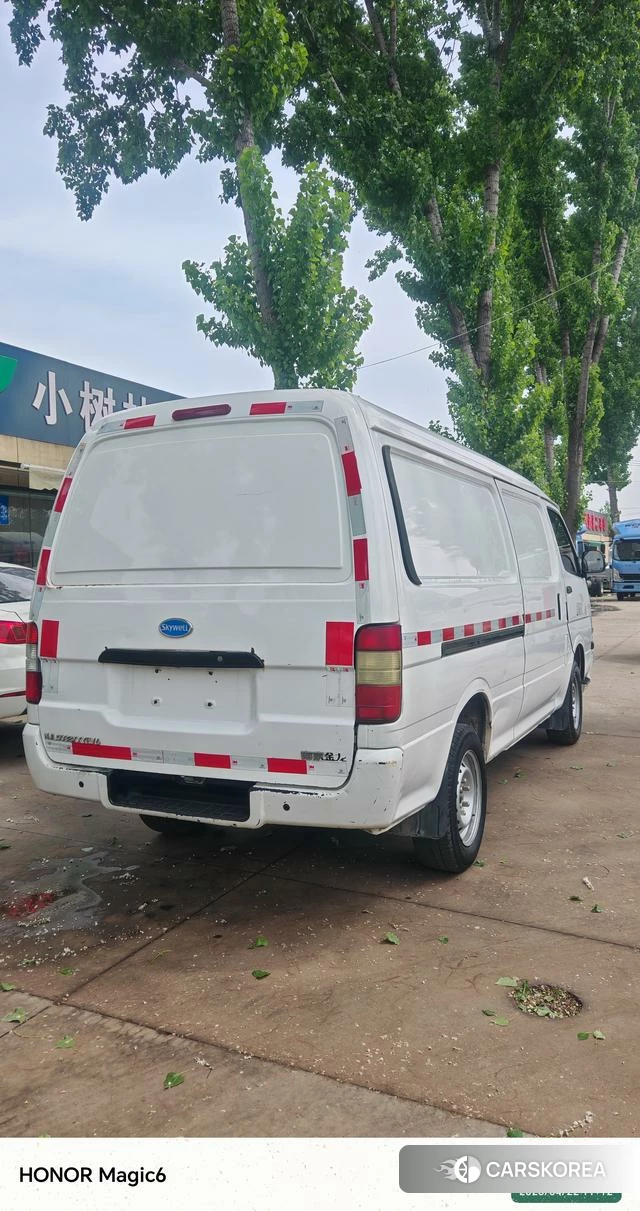 Golden Dragon Longyao 8 id 4210414 из Китая 9