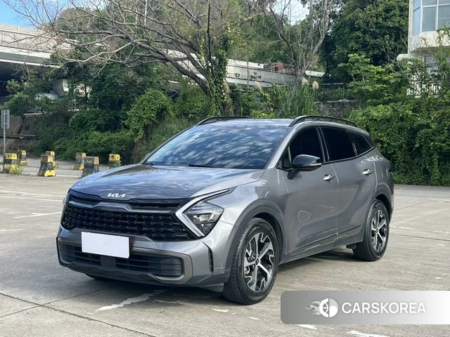 Kia Lion Platinum expands the world id 4329027 из Китая 9