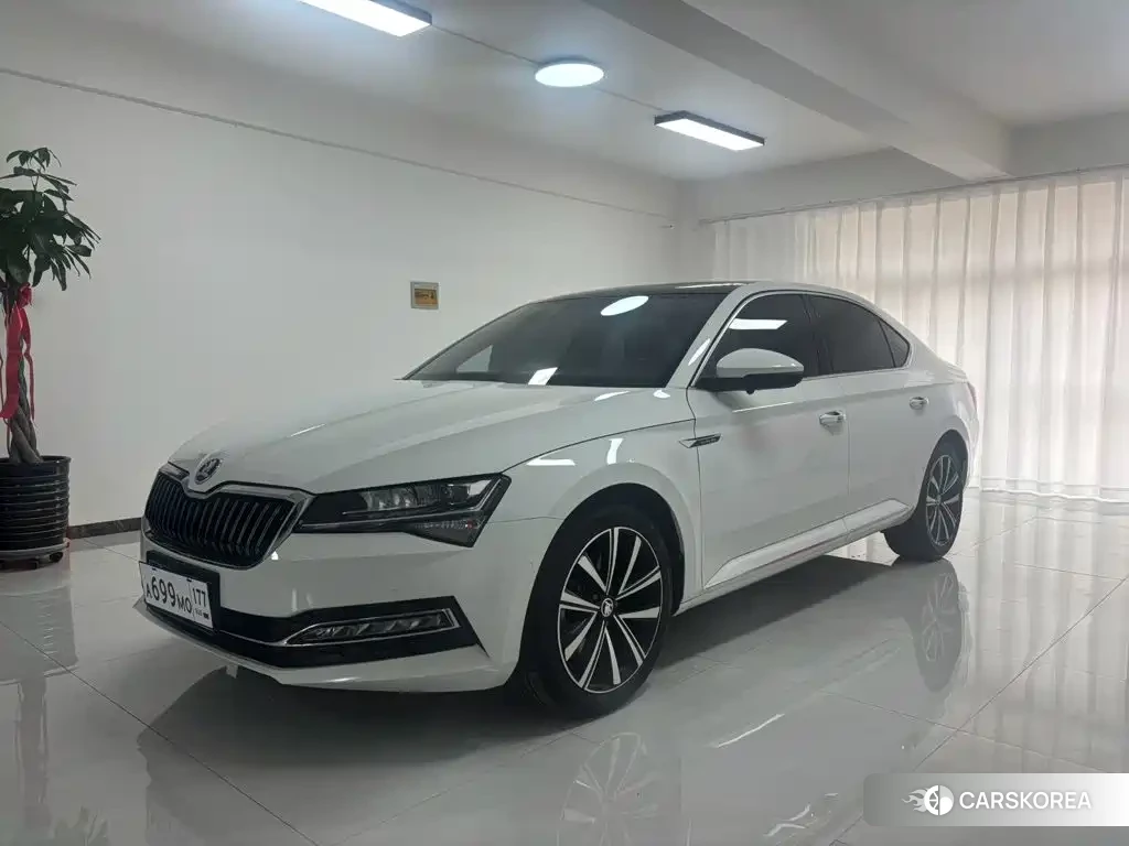 Skoda Speed pie id 4553923 из Китая 19