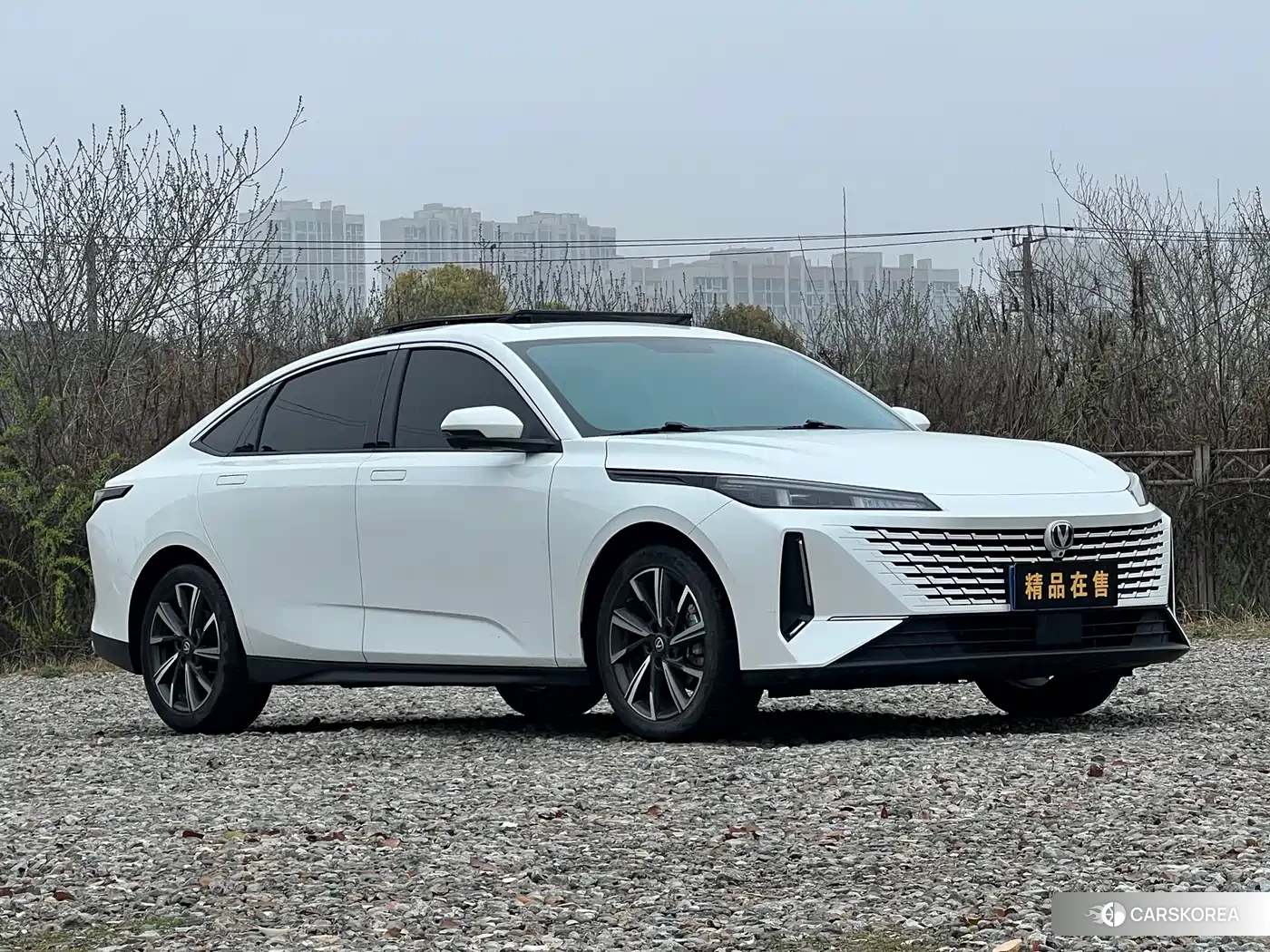 Chang'an Yidong id 4589083 из Китая 16
