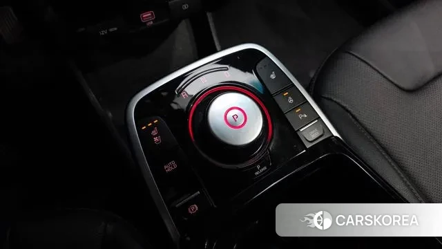 Kia Niro Plus id 3566448 из Кореи 19