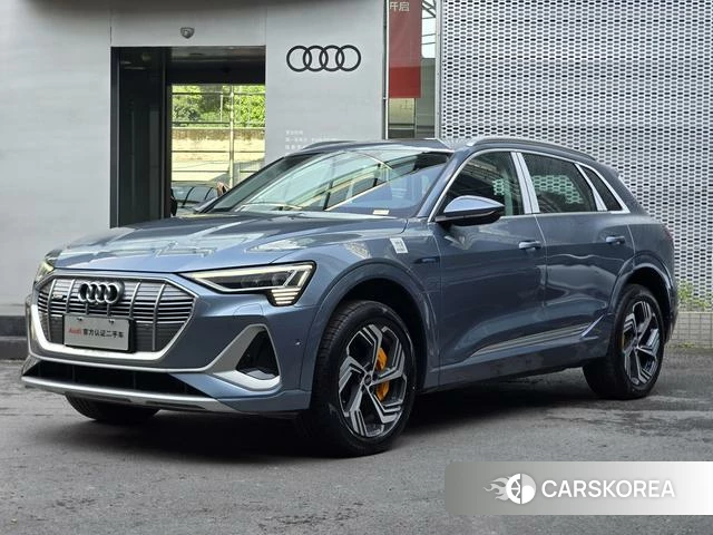 Audi e-tron id 4253714 из Китая 22
