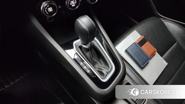 Renault Korea (Samsung) XM3 id 3433191 из Кореи 19