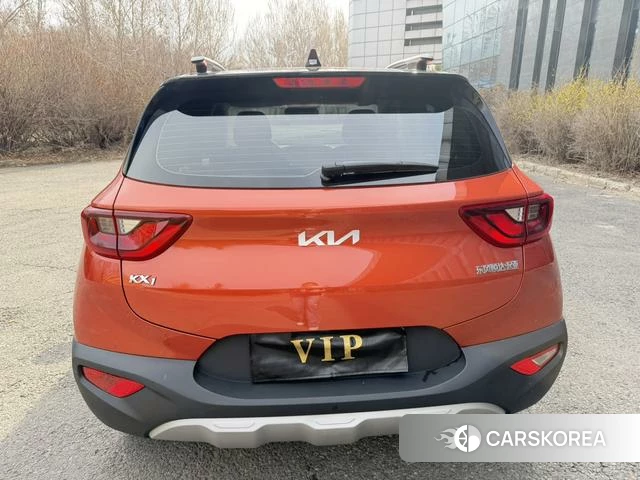 Kia Yi Ran id 4263209 из Китая 17