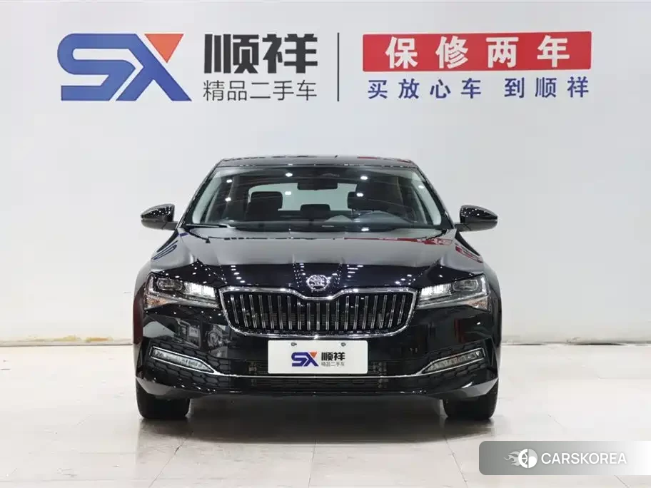 Skoda Speed pie id 4515532 из Китая 19