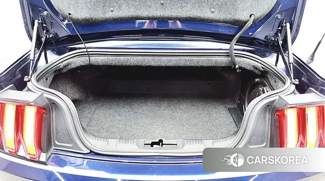 Ford Mustang id 3647243 из Кореи 19