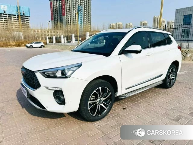 Haval H6 Coupe id 3902017 из Китая 9