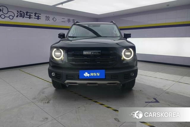 Haval Big dog id 4207300 из Китая 16
