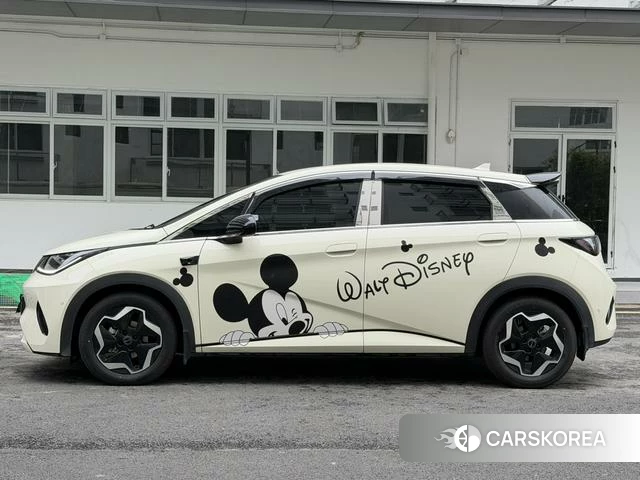 BYD dolphin id 4205632 из Китая 20