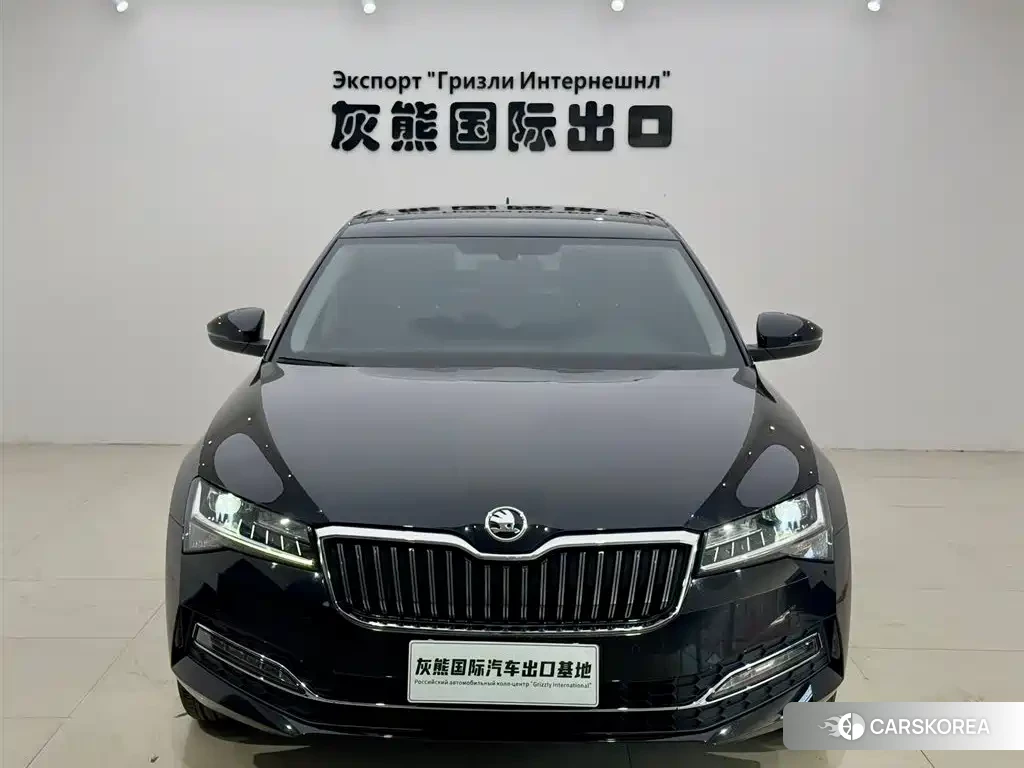 Skoda Speed pie id 4548301 из Китая 15