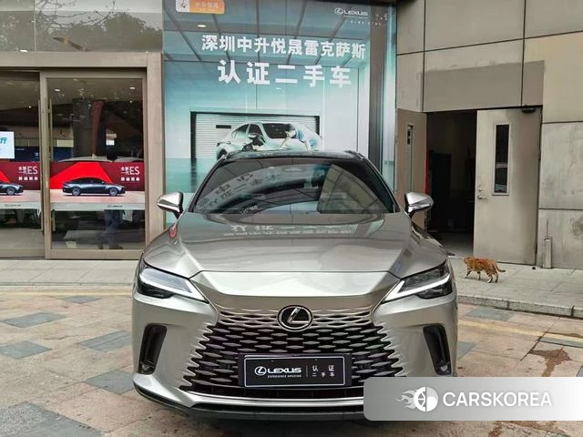 Lexus RX PHEV id 4298253 из Китая 11