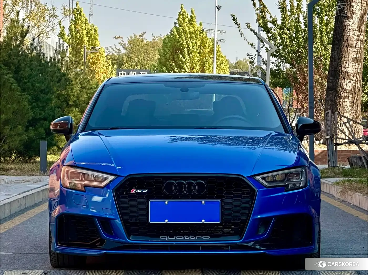 Audi RS 3 id 4589286 из Китая 14