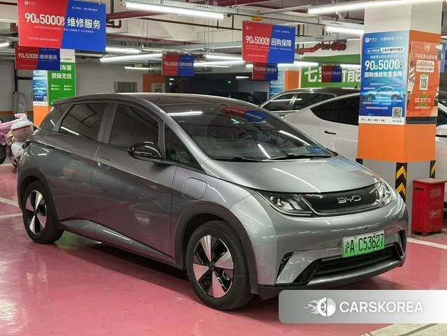 BYD dolphin id 4238895 из Китая 9