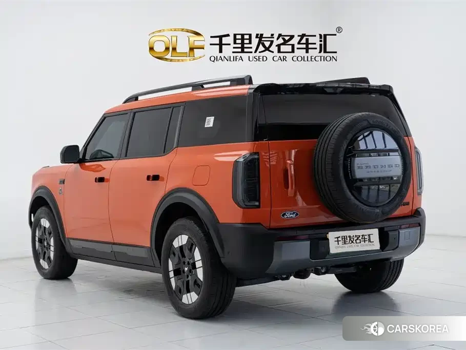 Ford Smart Fun Horse id 4514316 из Китая 21