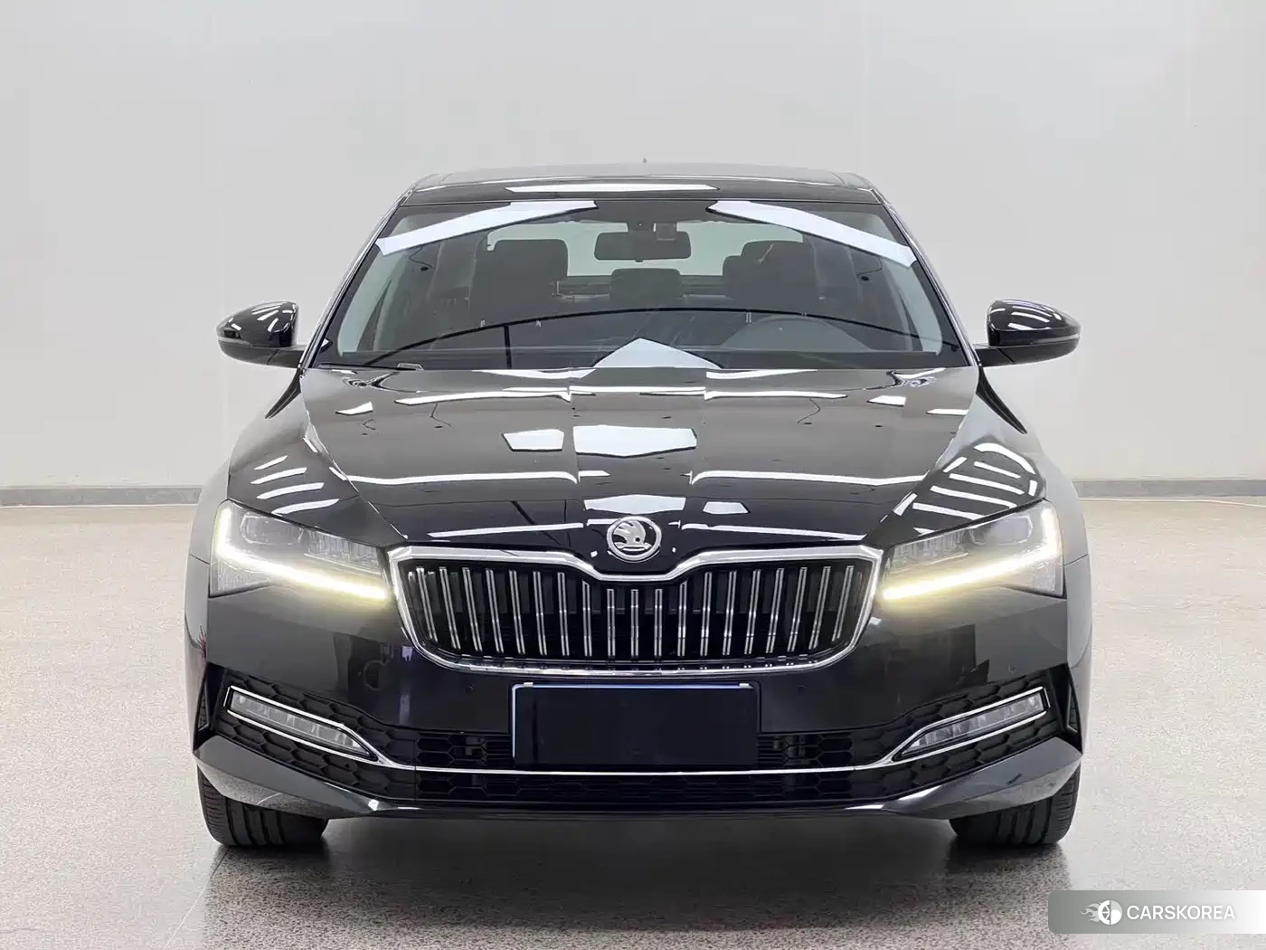 Skoda Speed pie id 4514112 из Китая 26