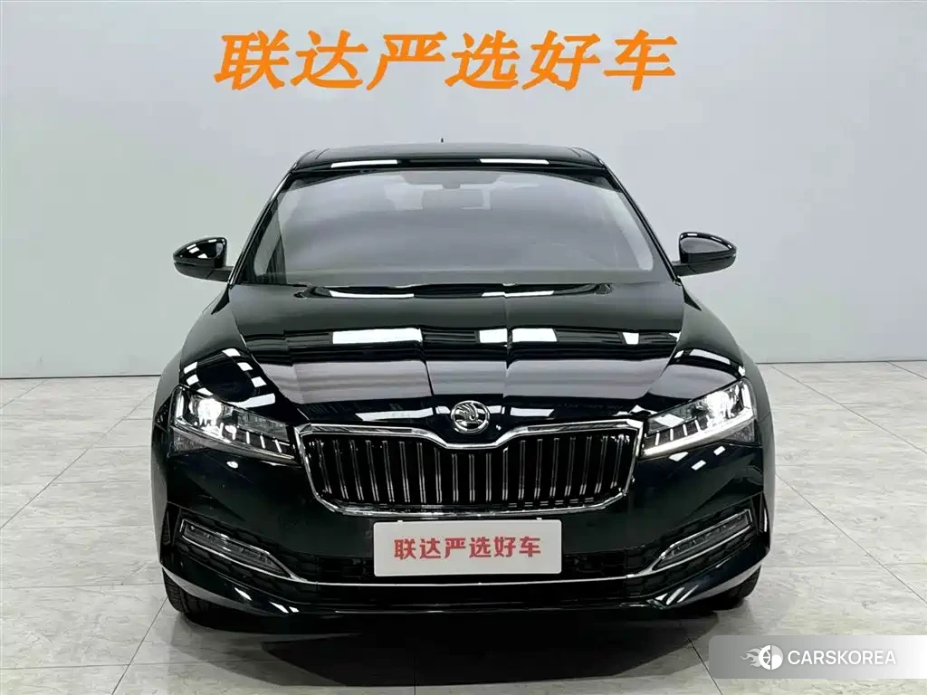 Skoda Speed pie id 4538728 из Китая 24