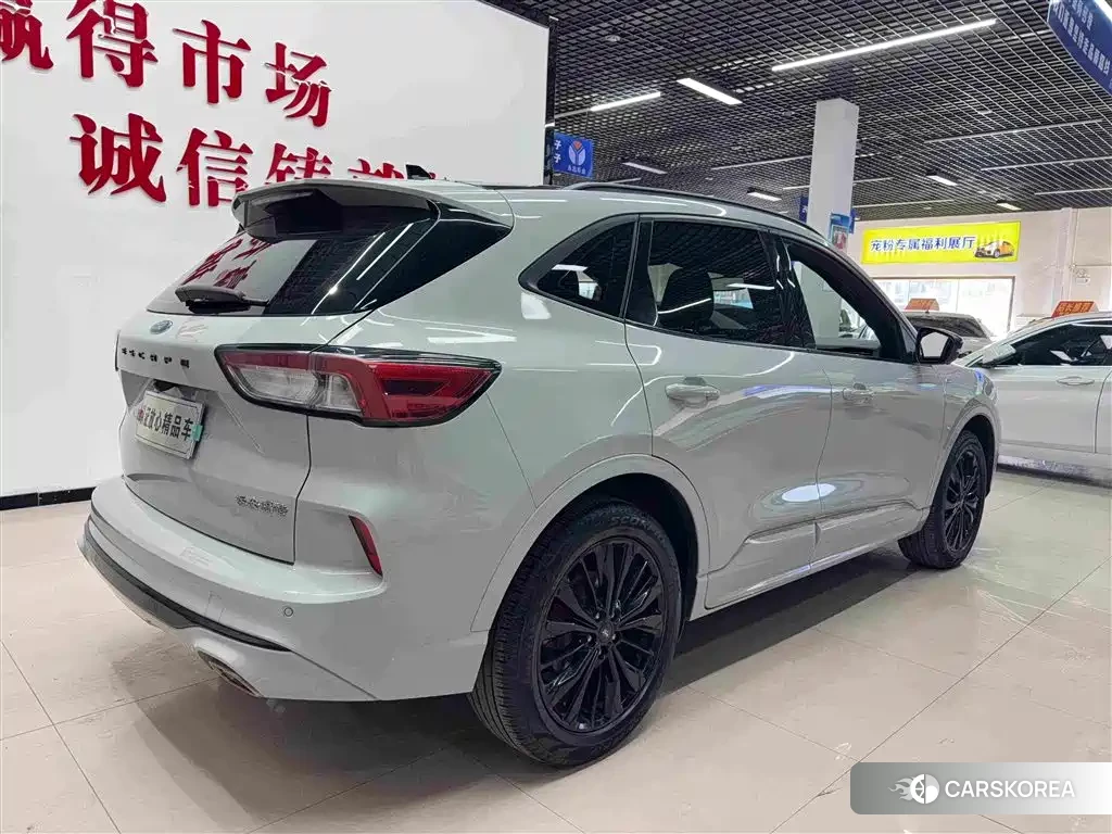 Ford Ruiji id 4654409 из Китая 9