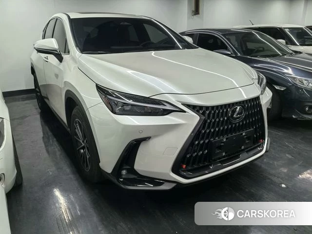 Lexus NX id 4241023 из Китая 9