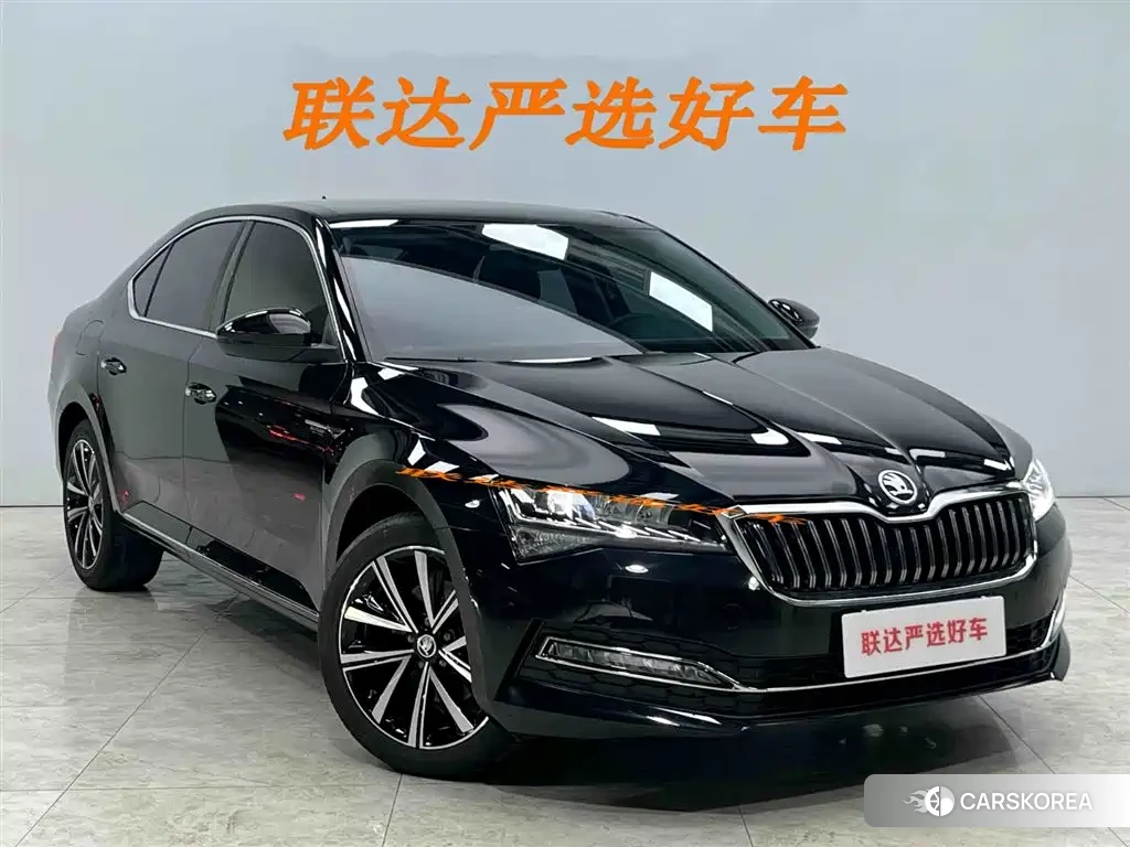 Skoda Speed pie id 4515526 из Китая 24