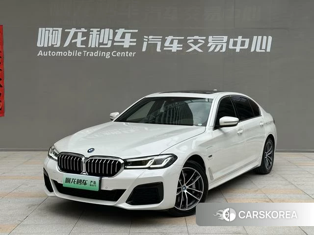 BMW 5 series PHEV id 4260764 из Китая 22