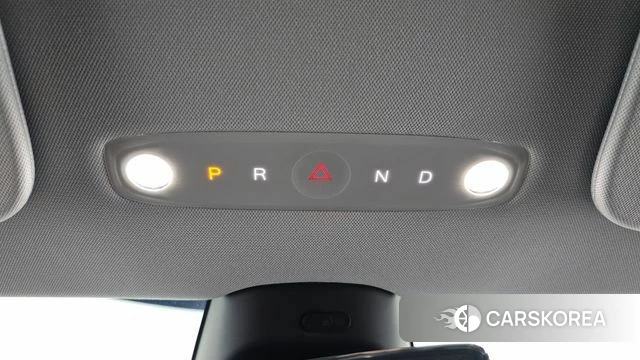 Tesla Model 3 id 4706006 из Кореи 19