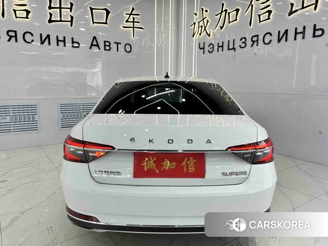 Skoda Speed pie id 4368045 из Китая 21