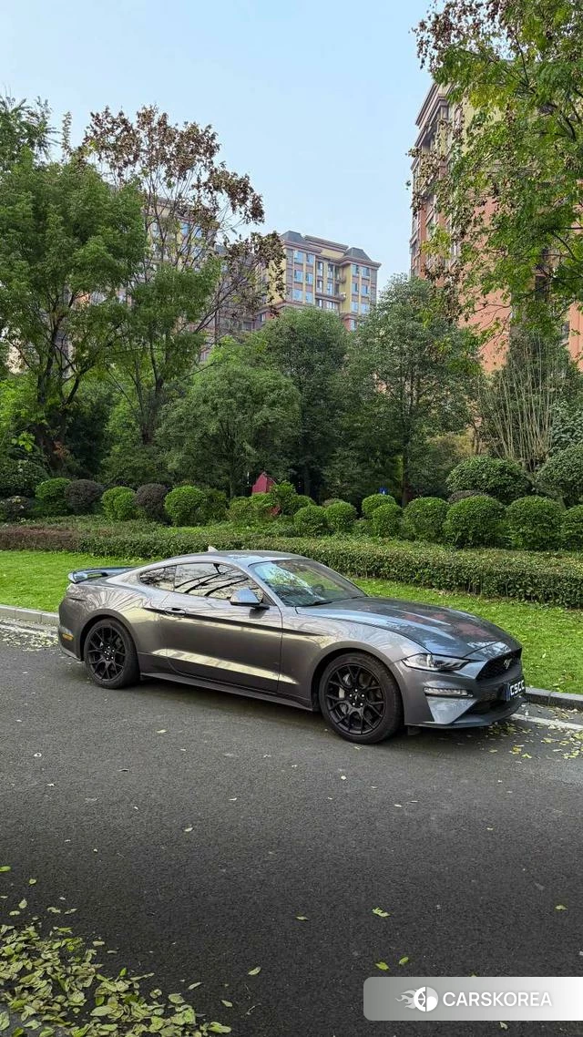 Ford Mustang id 4394173 из Китая 9