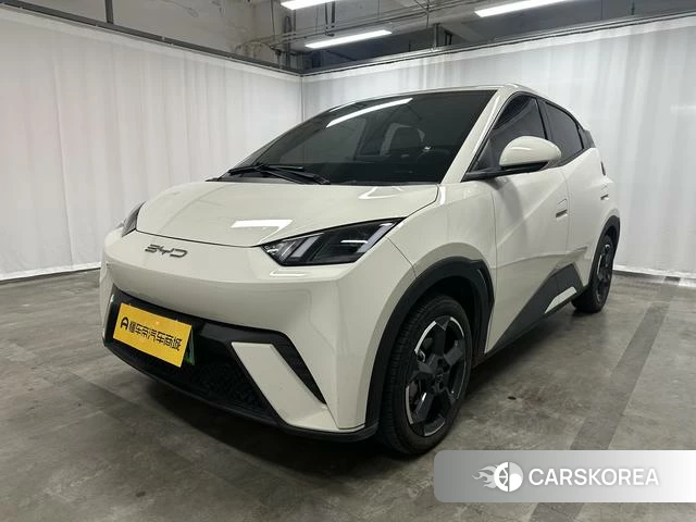 BYD Seagull id 4217467 из Китая 19