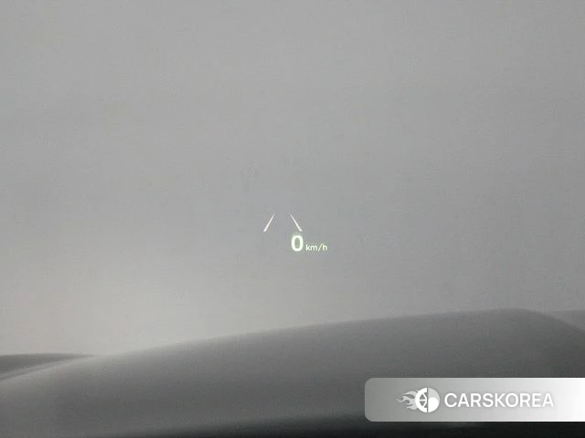 Genesis G90 id 4285689 из Кореи 19