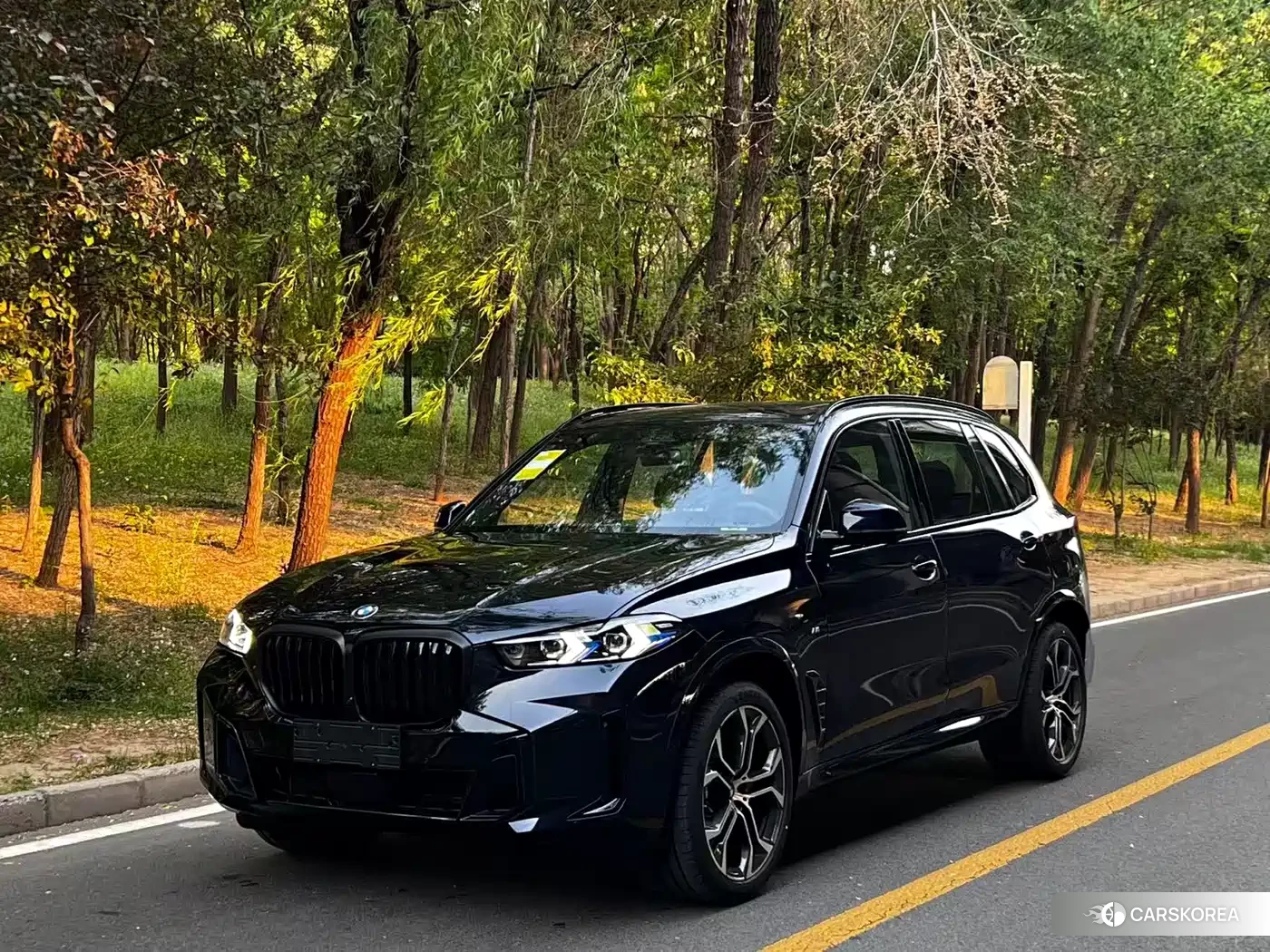 BMW X5 id 4622433 из Китая 9