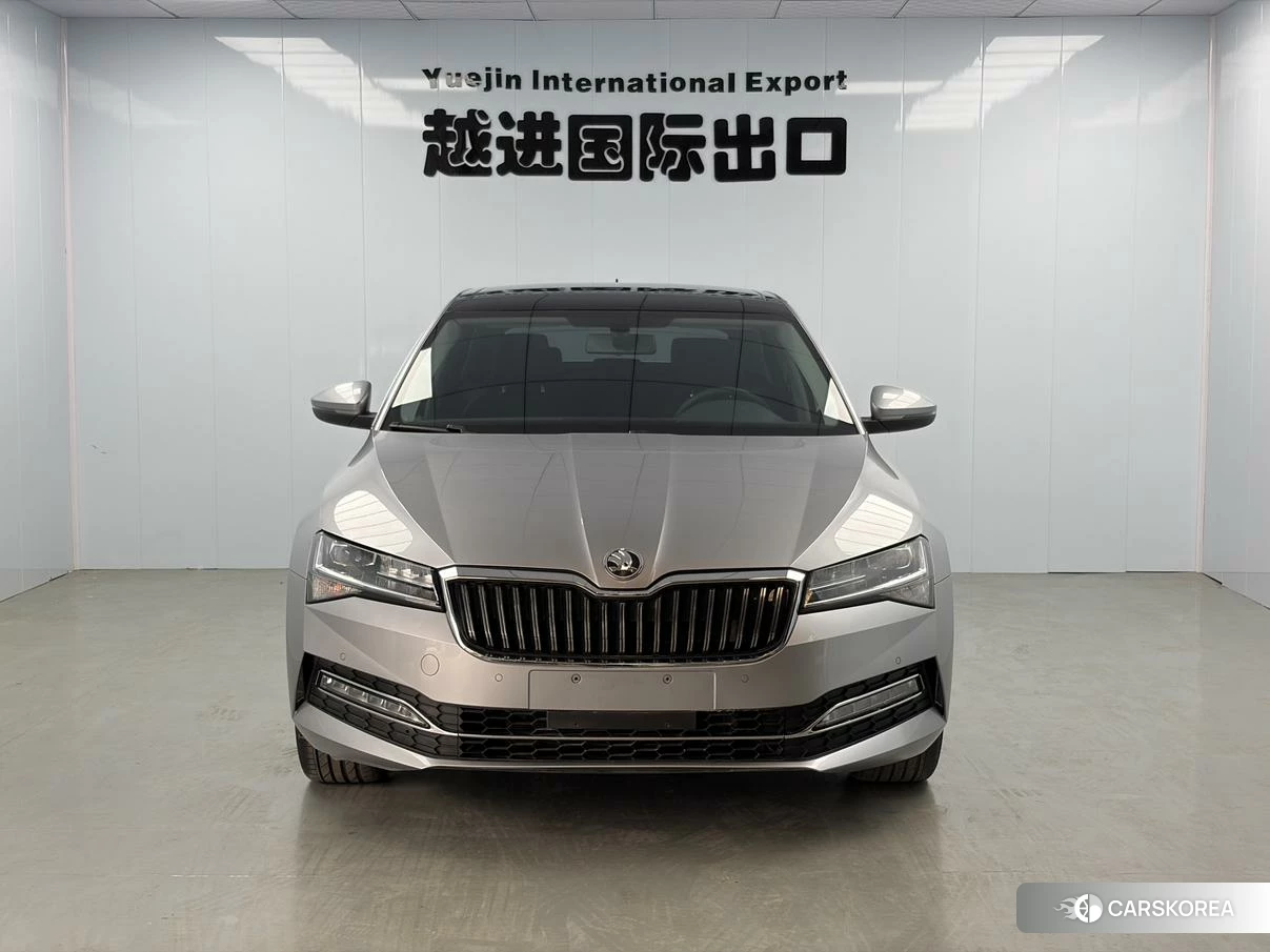Skoda Speed pie id 4512842 из Китая 11