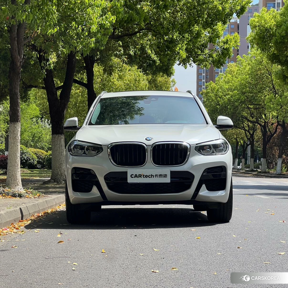 BMW X3 id 4512644 из Китая 19