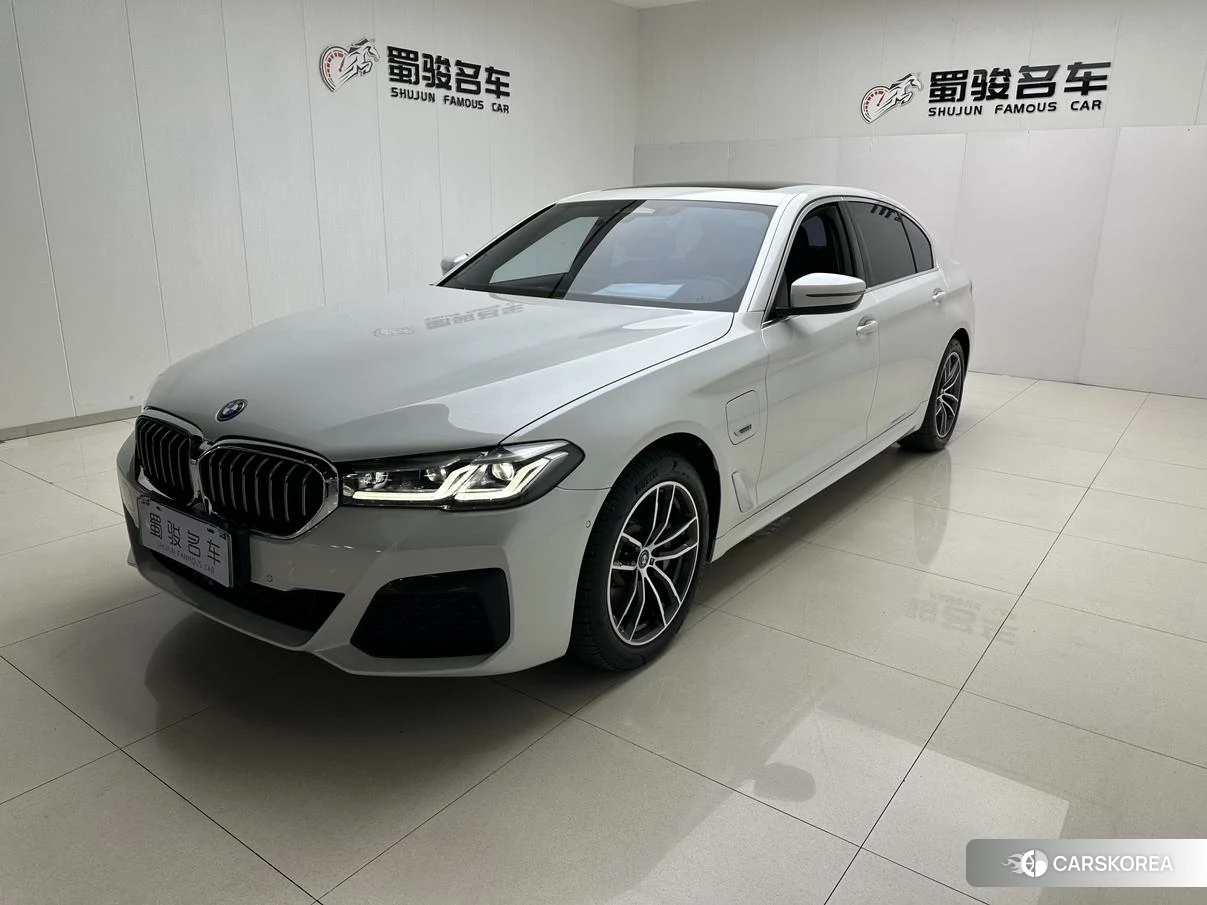 BMW 5 series PHEV id 4440820 из Китая 11