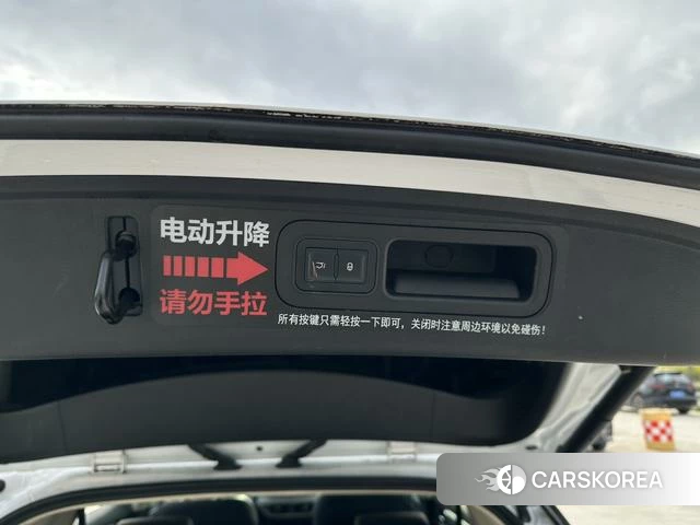 BYD Tang DM id 4240515 из Китая 39