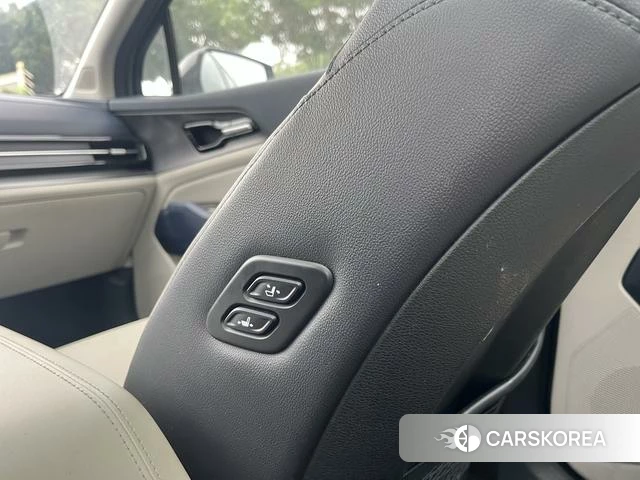 Kia Lion Platinum expands the world id 4264186 из Китая 20