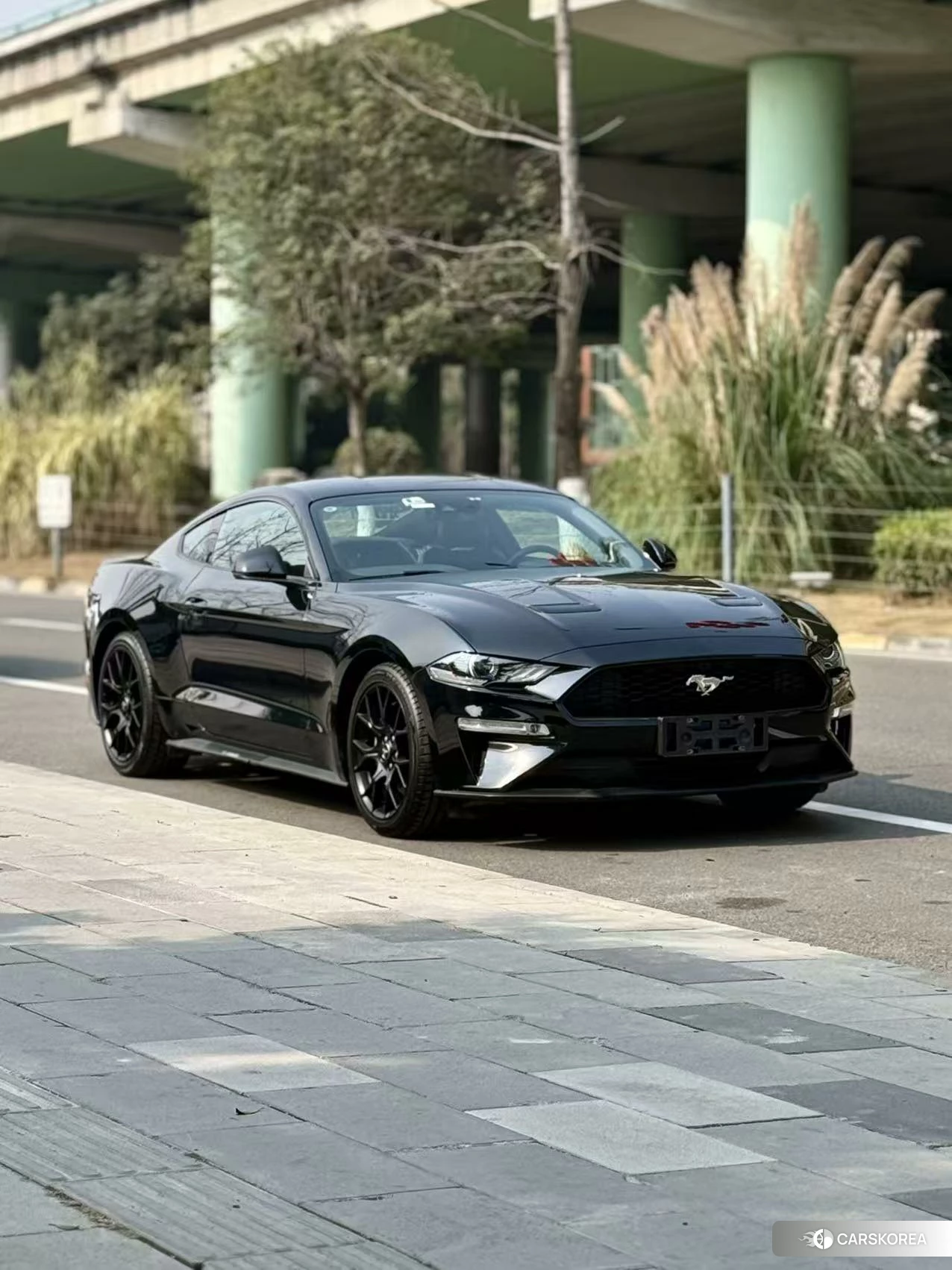 Ford Mustang id 4426906 из Китая 9