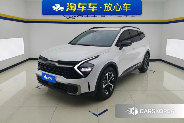 Kia Lion Platinum expands the world id 4208699 из Китая 16
