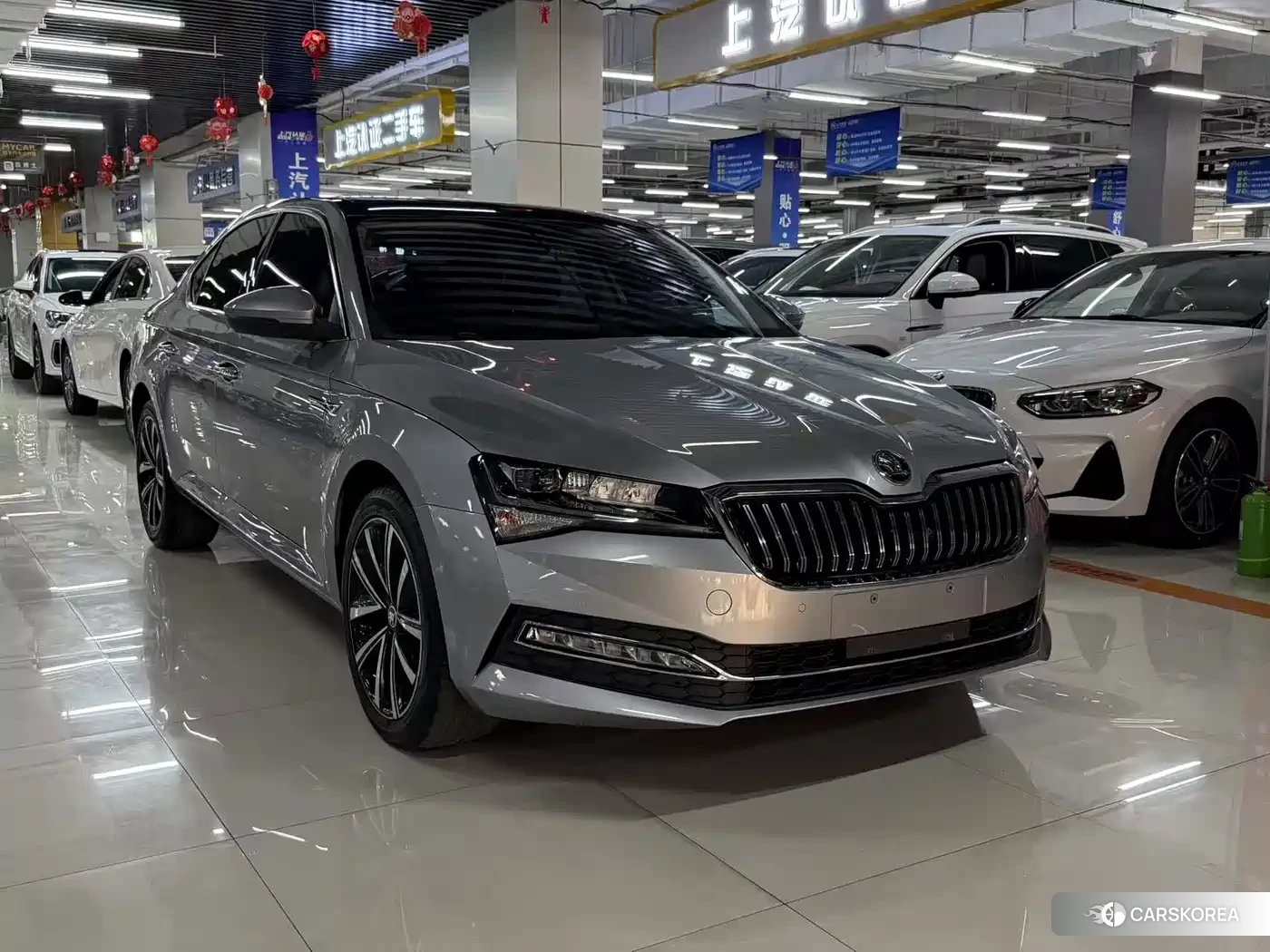 Skoda Speed pie id 4546424 из Китая 9